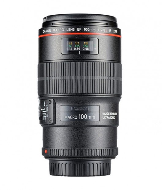 Canon EF 100mm f/2.8L Macro IS USM Lens